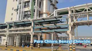 Parachlorbenzylchlorid - Changzhou Xindong Chemical Industry Development Co., Ltd.