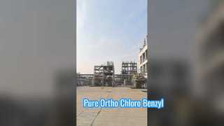 Orthochlorbenzylchlorid der Fabrik